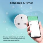 schedule and timer wifi plug